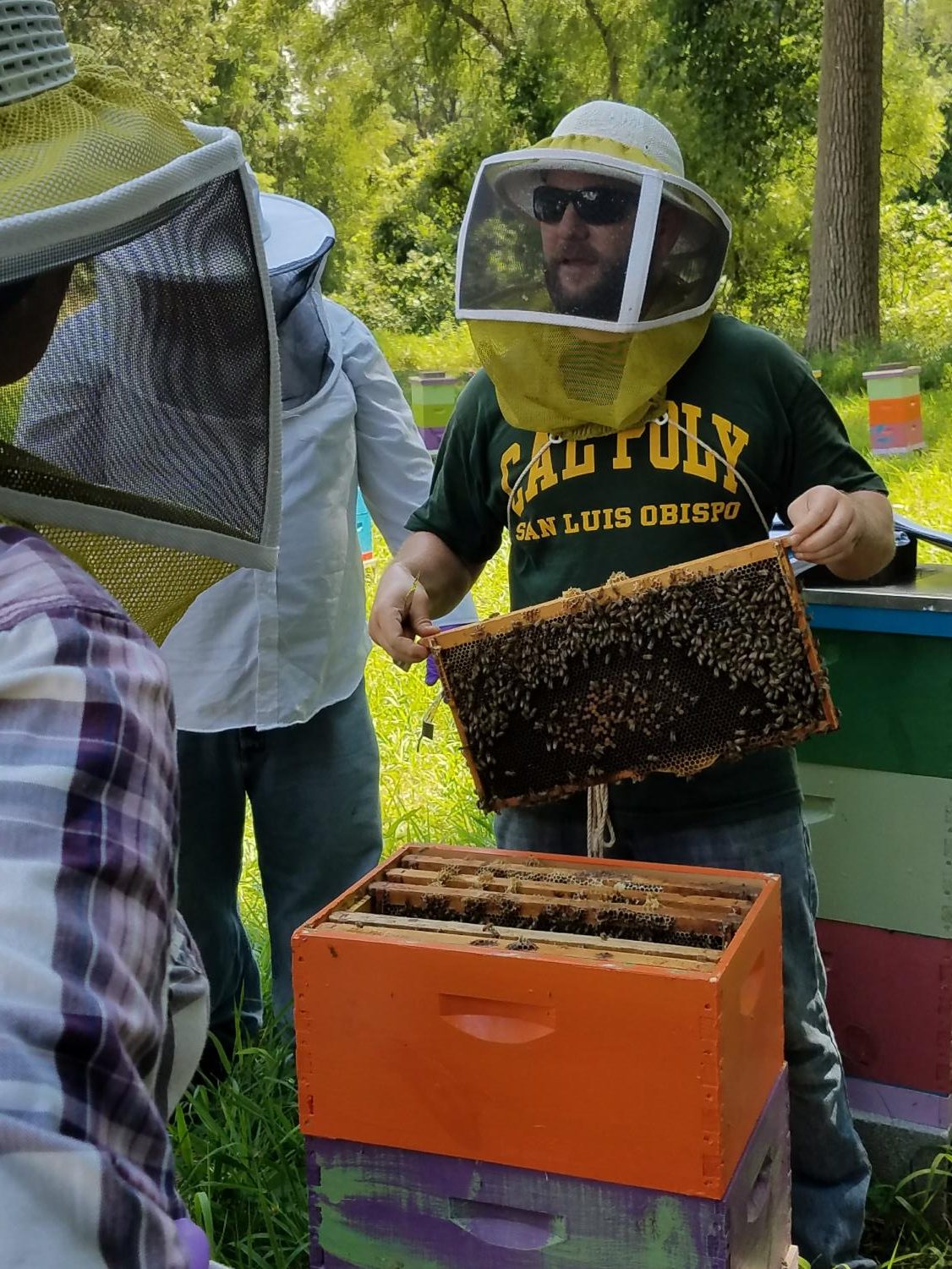 Heroes+to+Hives+Beekeeping+Course+Offered+at+UCM