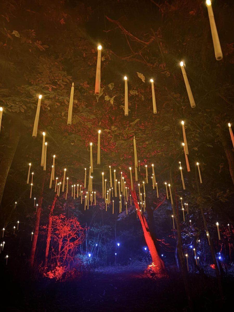 A floating candle canopy lights the path for travelers hiking the haunted woods of the Dark Forest. Powell Gardens has been hosting the event for the past 5 years.